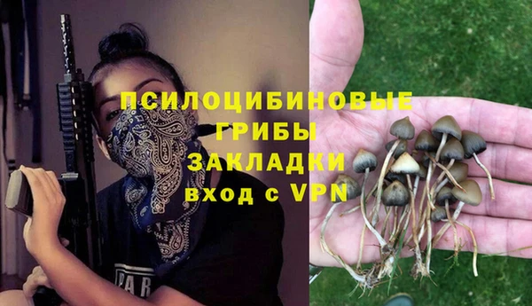 ешки Майский