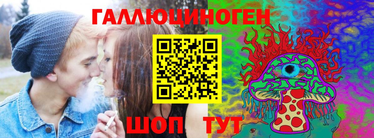 Псилоцибиновые грибы Cubensis  Муравленко  Галлюциногенные грибы Cubensis 