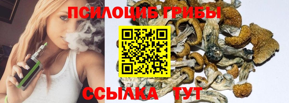 Галлюциногенные грибы MAGIC MUSHROOMS  Вход с VPN  Муравленко 