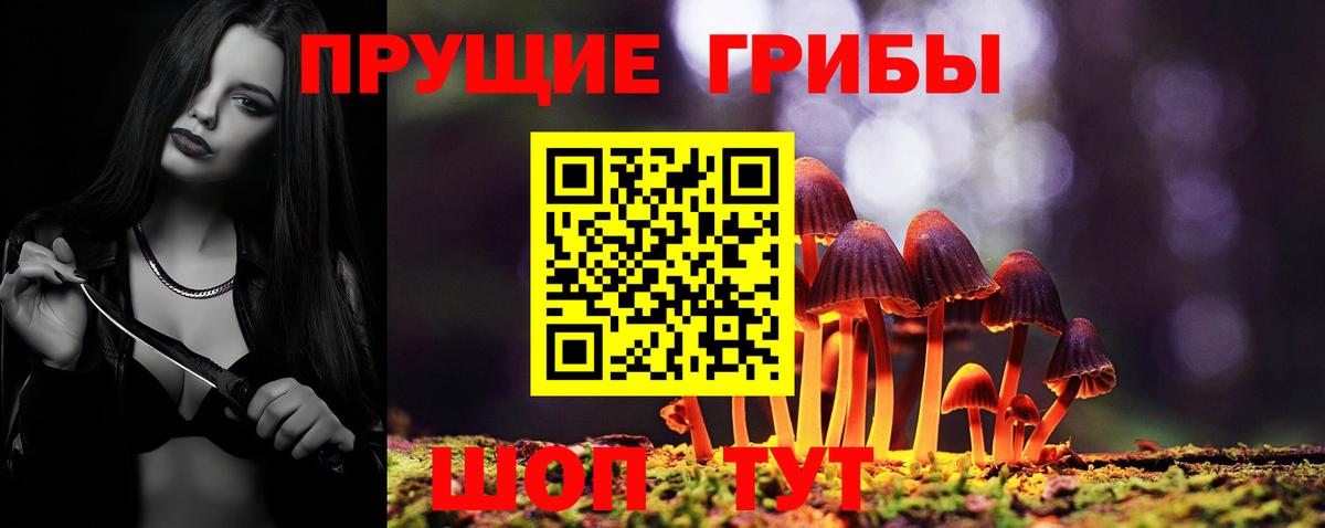 Псилоцибиновые грибы Psilocybe Муравленко