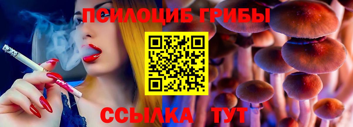 Галлюциногенные грибы Cubensis Муравленко